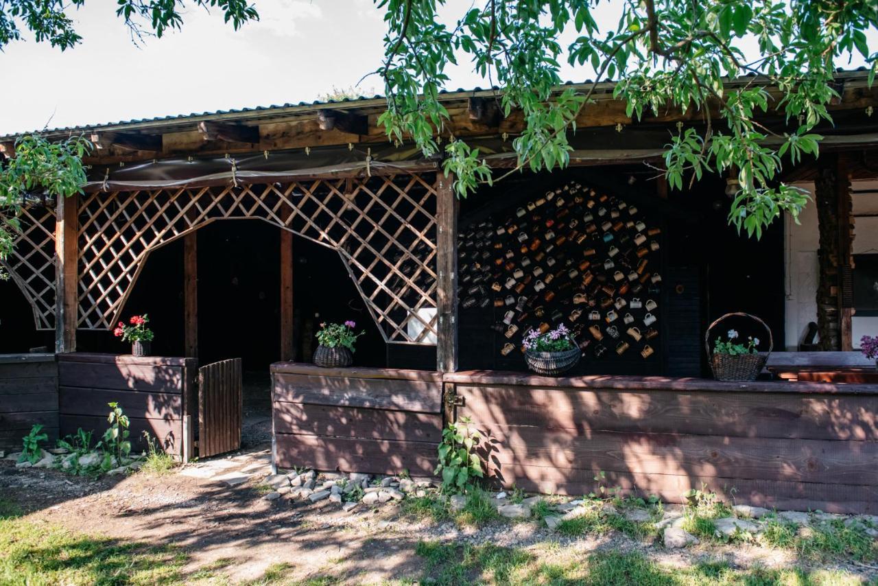 Zagroda Chryszczata Smolnik  Exterior photo